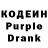 Codein Purple Drank Sonya Plotnikova