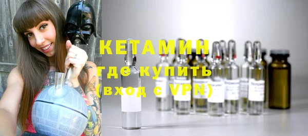 шишки Абаза