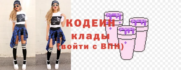 шишки Абаза
