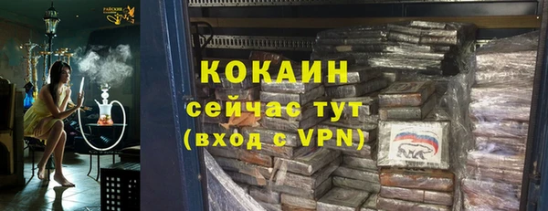 шишки Абаза