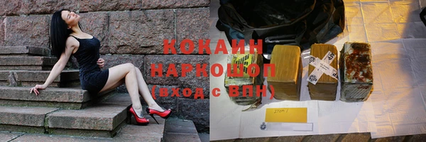 шишки Абаза