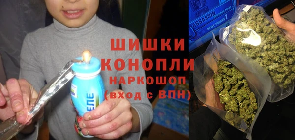 шишки Абаза