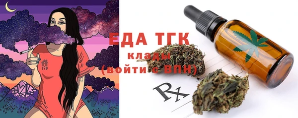 шишки Абаза