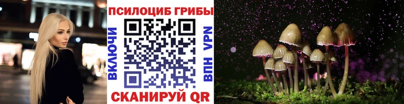 Псилоцибиновые грибы MAGIC MUSHROOMS  Дрезна 